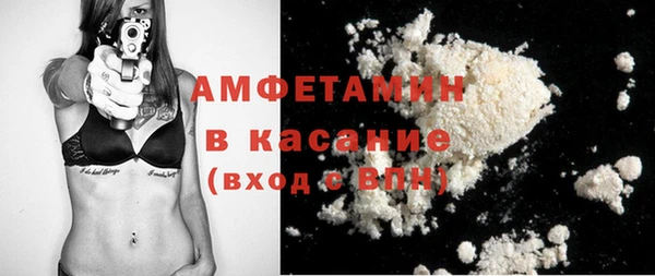 сатива Горняк