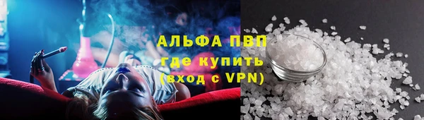 прущие грибы Балахна