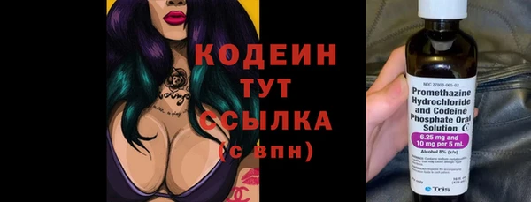 прущие грибы Балахна