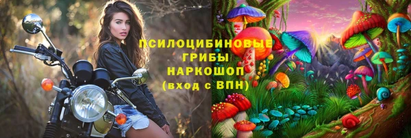 прущие грибы Балахна