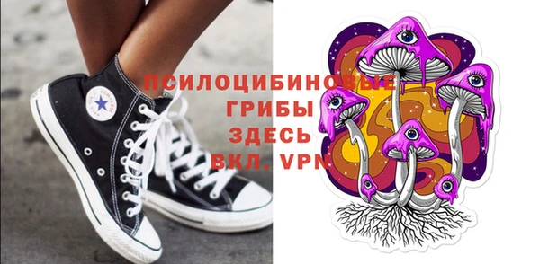 стафф Баксан