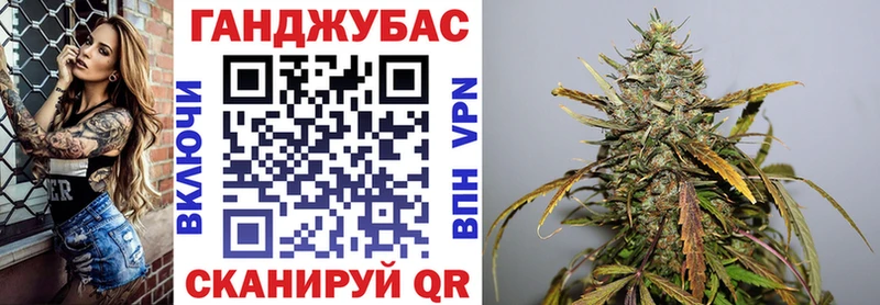Купить где  Балашов  Каннабис индика 